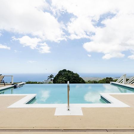 Oceanview Luxury Villa Pool & Spa Каилуа-Кона Экстерьер фото